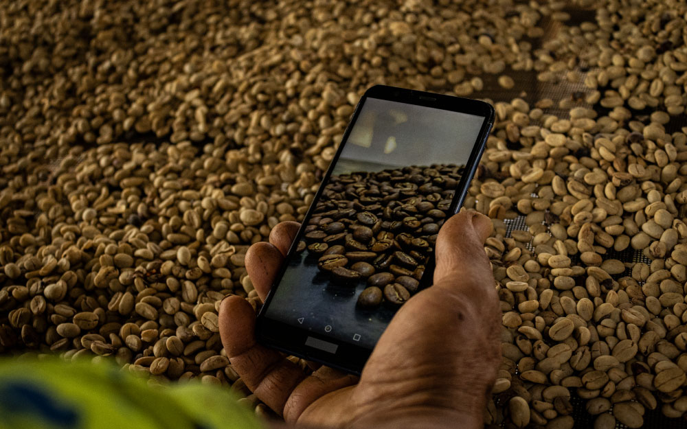 Café y tecnología innovaciones en la industria cafetera.