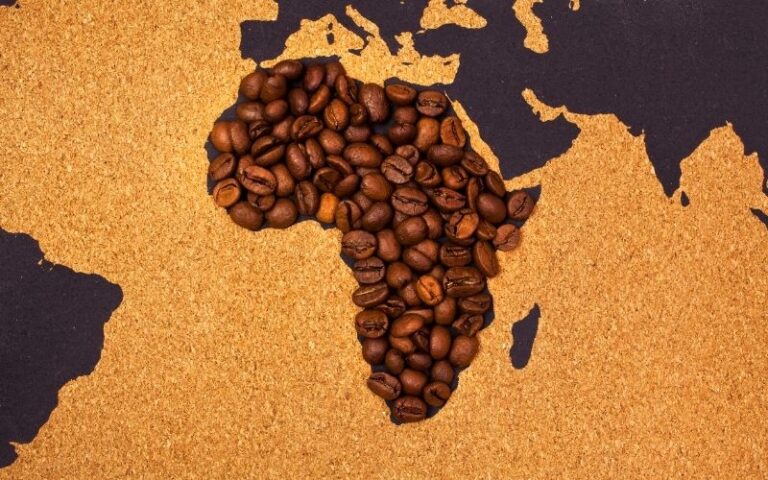 La cultura del café en África tradiciones y variedades.