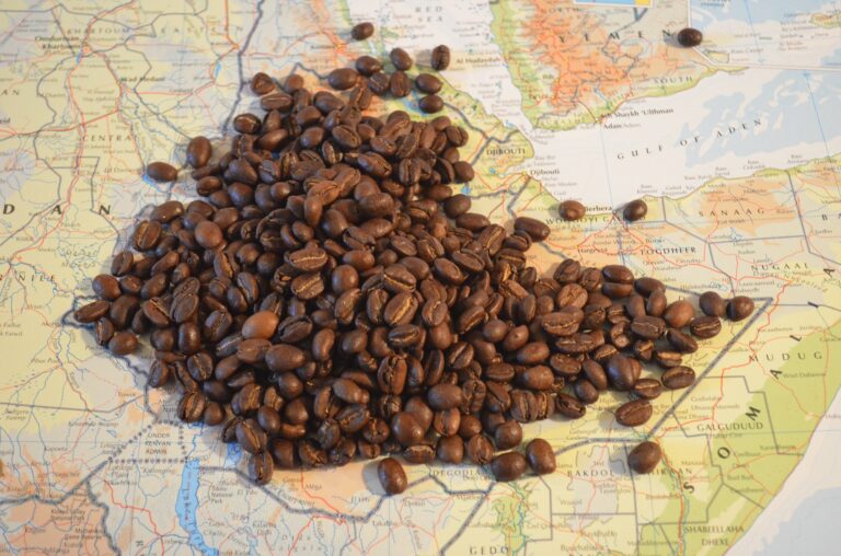La historia del café desde Etiopía hasta el mundo.
